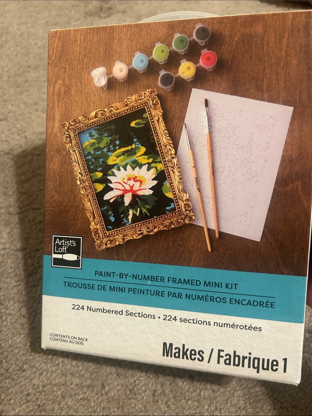Paint-By-Number Framed Mini Kit - Multicolor